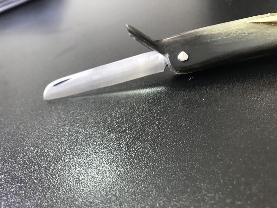 Briceag cutit in forma de pasare