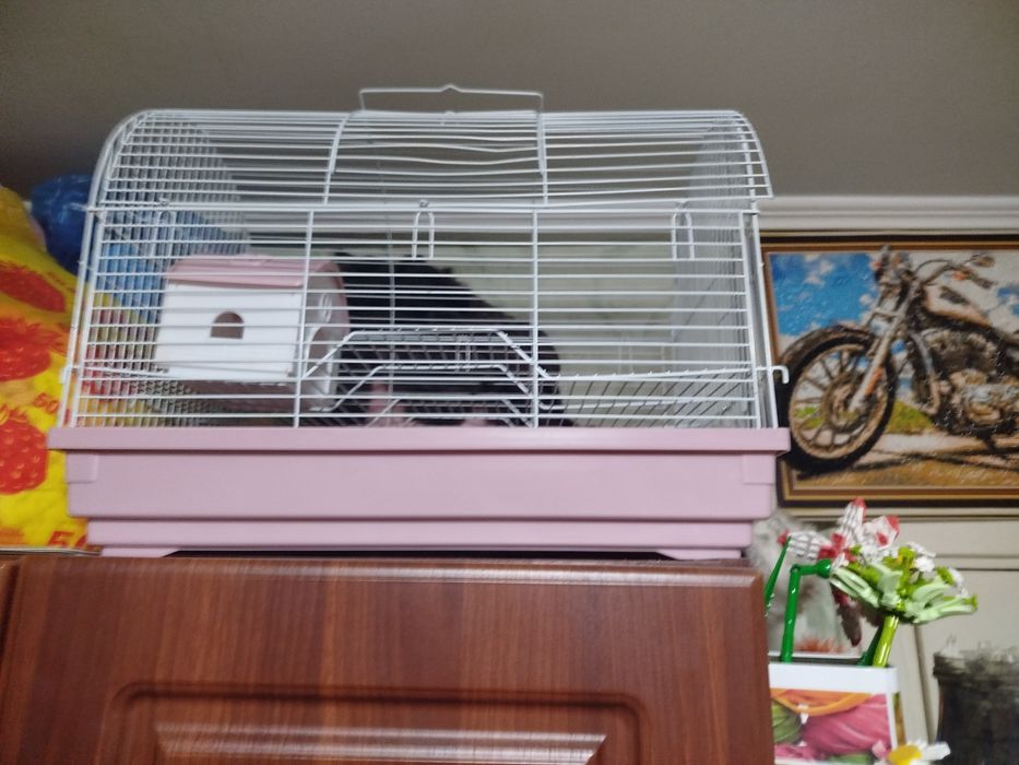 Продам клетку за 10000