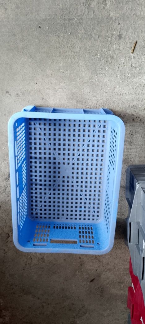 yashik sifati va baquvvat