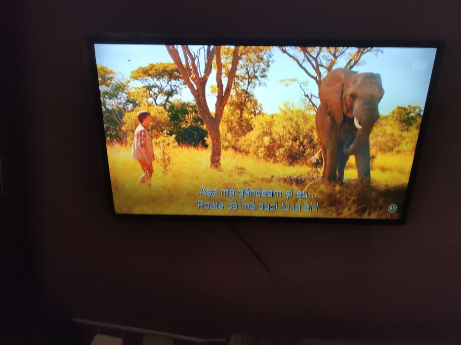 Televizor Smart SAMSUNG 106CM