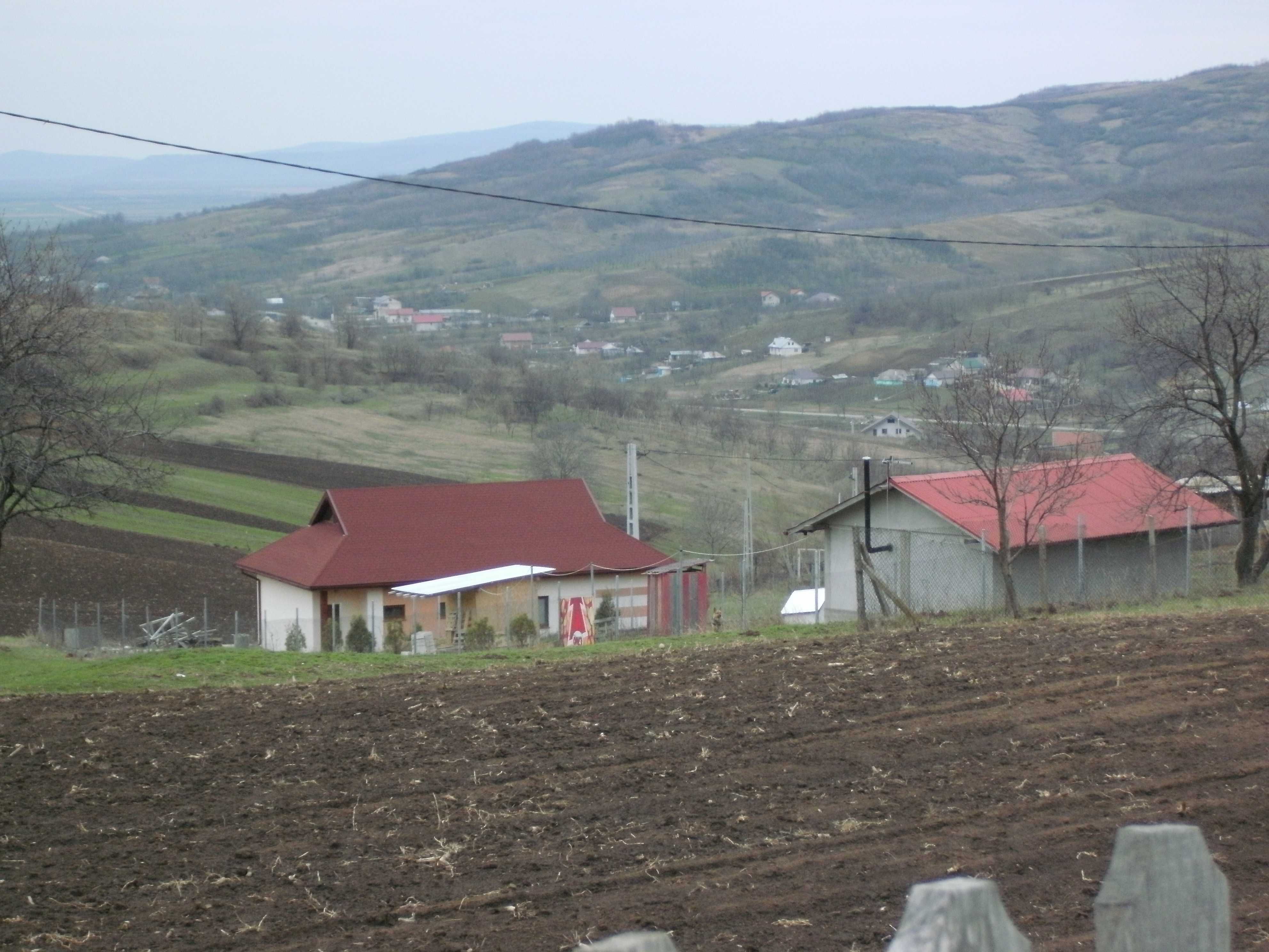 Teren intravilan Chicerea