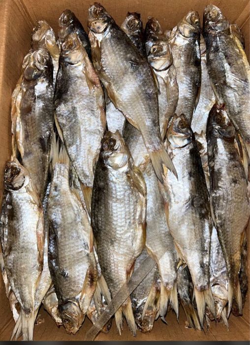 Свежая вяленая, малосольная вобла отменного вкуса