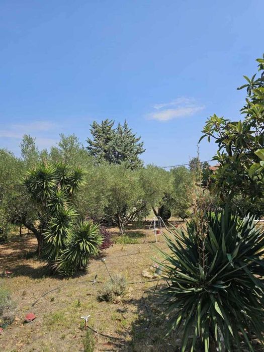 Самотоятелна къща в голям парцел