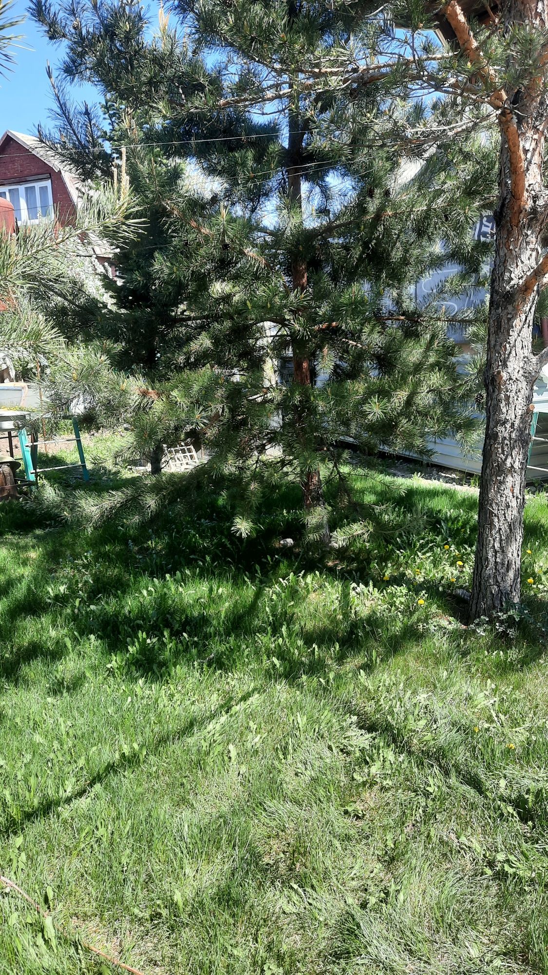 Дача за Пантонным