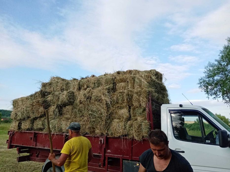 Baloți de fân , !