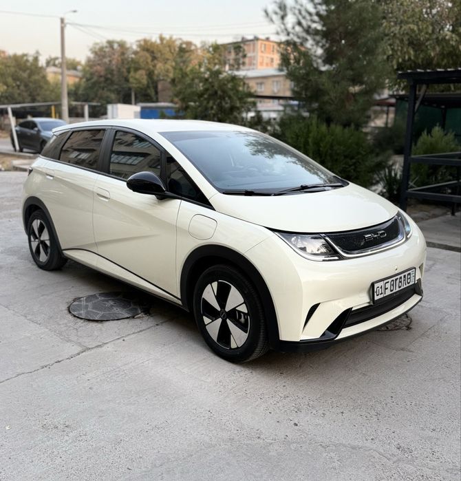 BYD Dolphin 420Km Toza