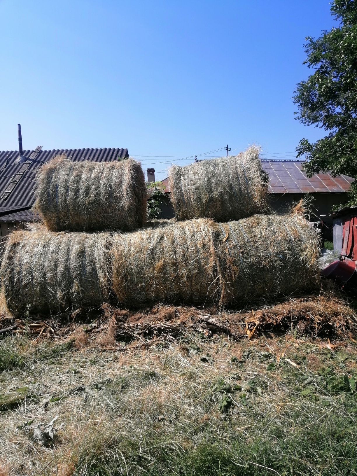 Vând baloți de fân.