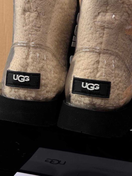 Ugg dama transparent
