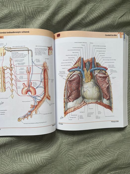 Atlas de anatomie Netter ediția a 5-a