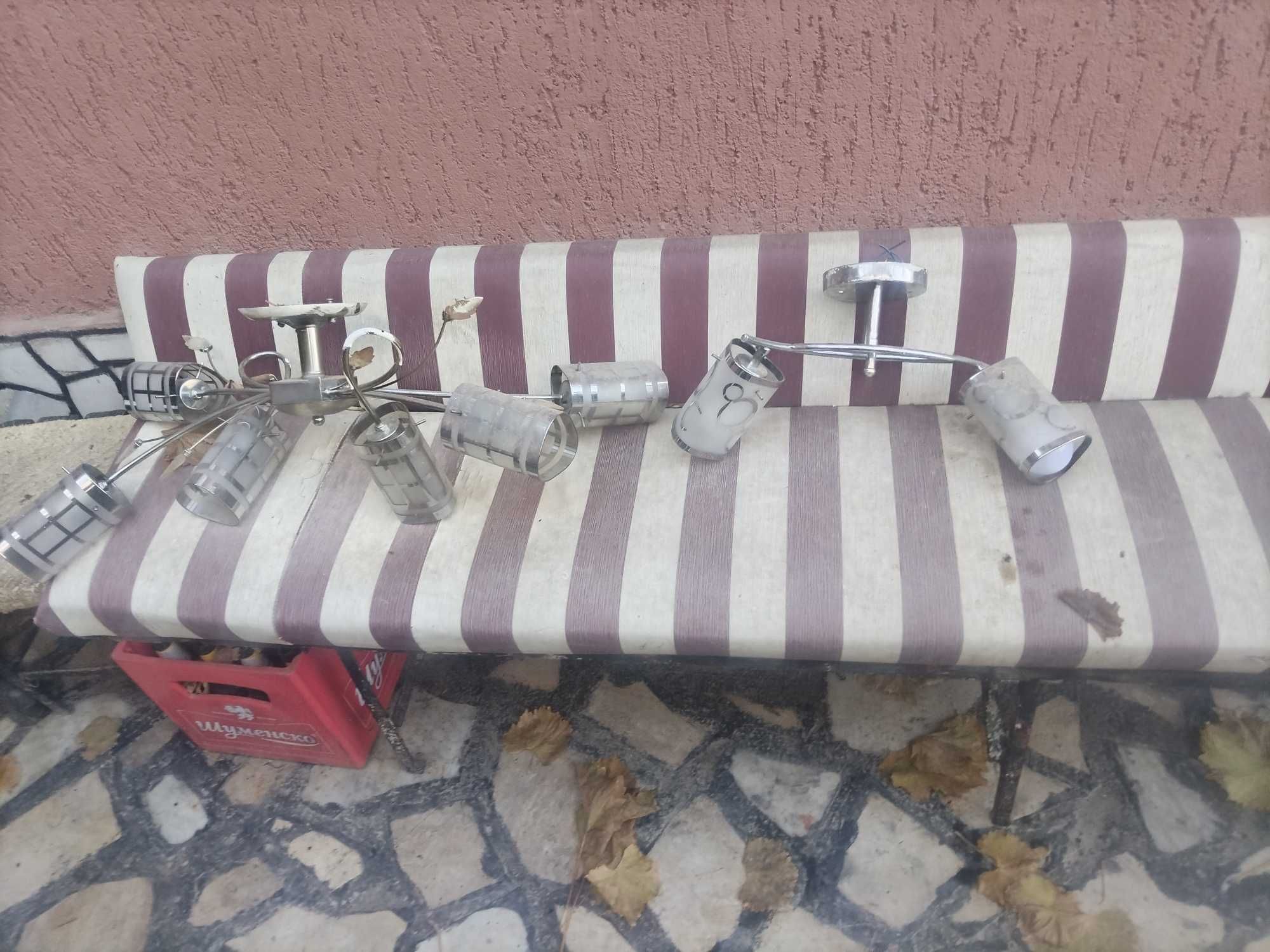 Полилей в добро състояние