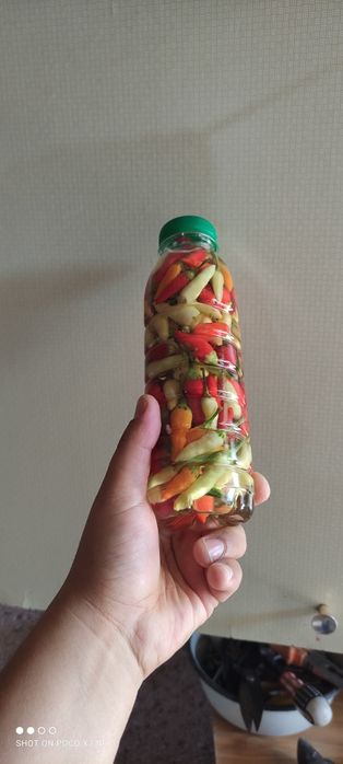 Qalampir tuzlangan Garimdori
