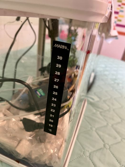 Оборудван аквариум RS-320EL 20литра