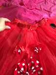 Costumas Minie
