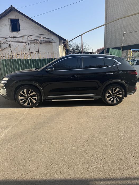Byd Chenpiyon gibrit 110 tali 2024 yil