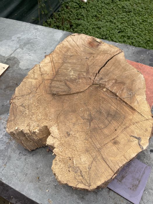 Rondele nuc uscate - blat