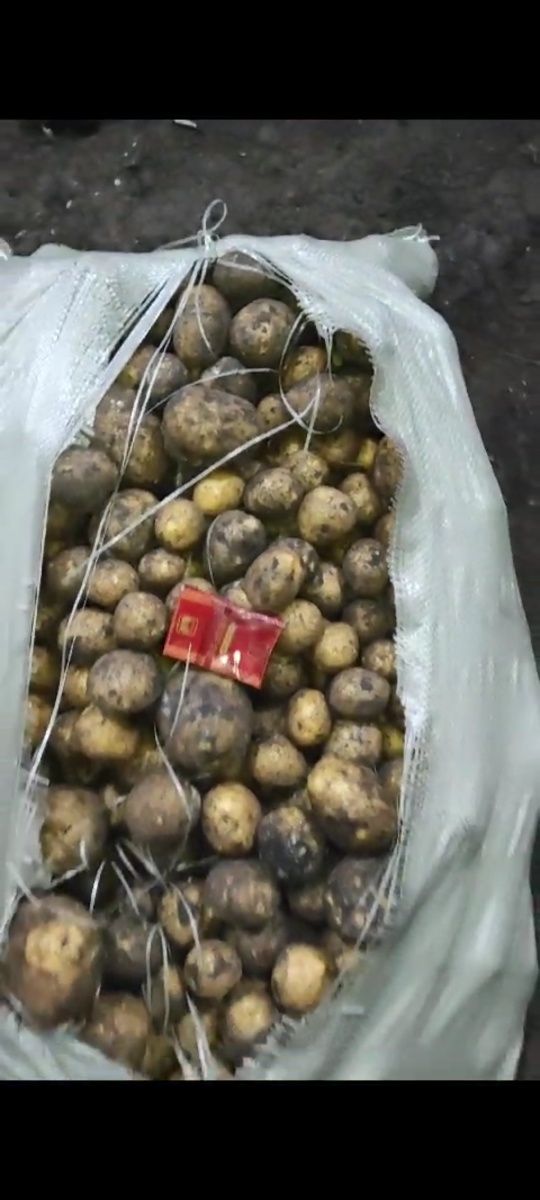 Продам картофельГала(Микс) 35 тенге