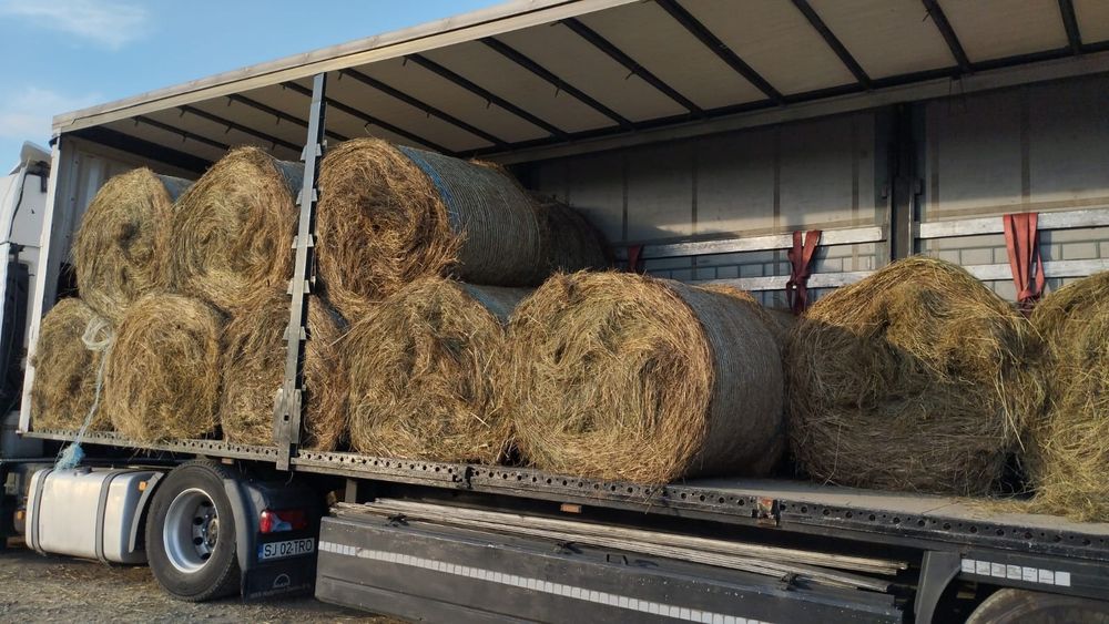 Baloti:Lucerna.Trifoi.Fan.Lolium.Rotunzi min 40.Drept.500.Trans.inclus