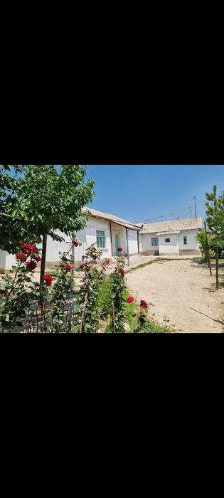 Продается дом в Паркенте. Uy sotiladi 18 sot. Samsarak