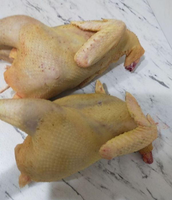 Pasari pui/gaini/cocosi