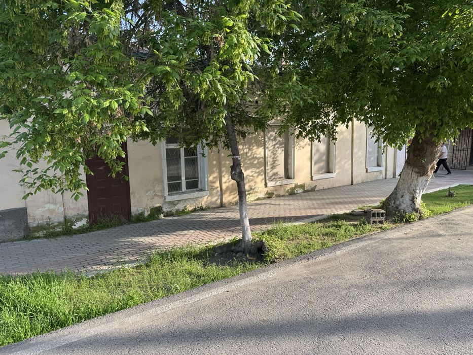 Sibirki kuchasidan xovli sotilyapti