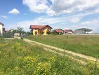 543 mp teren intravilan, Cornetu, str.Pinului