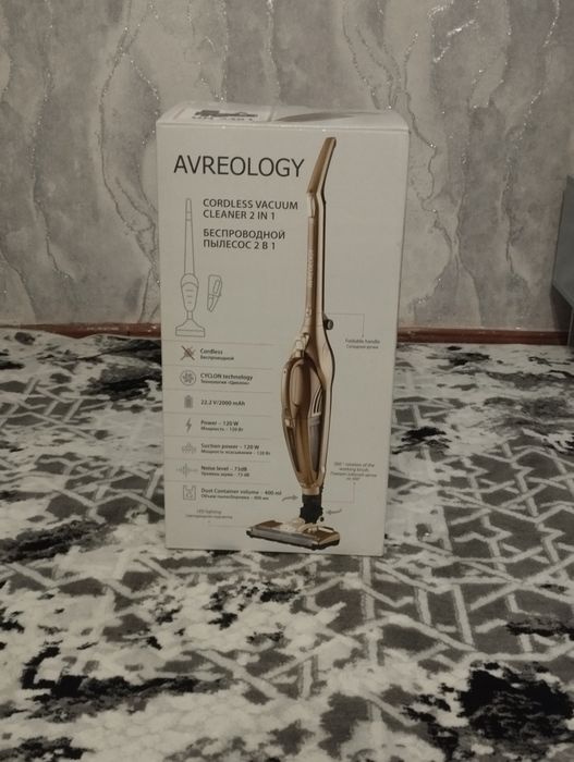 Pilesos Chanyutgich sotiladi