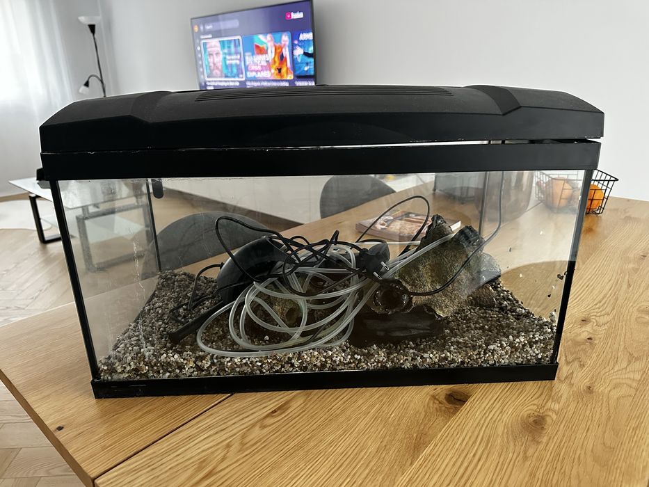 Vand acvariu 54 litri