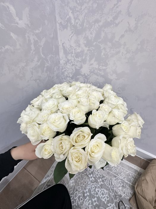 Роза, цветы 61 роза