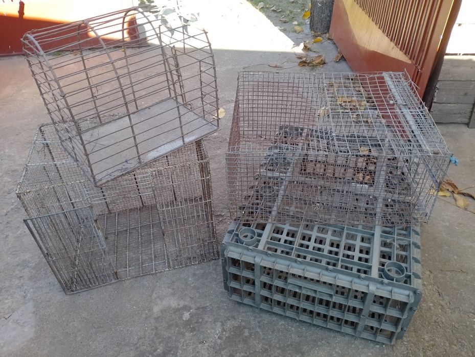 Cuști transport păsări