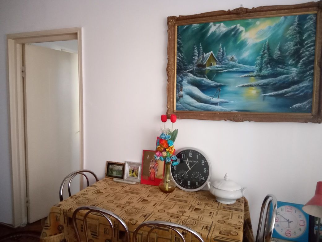 Apartament cu 2 camere în Brazdă