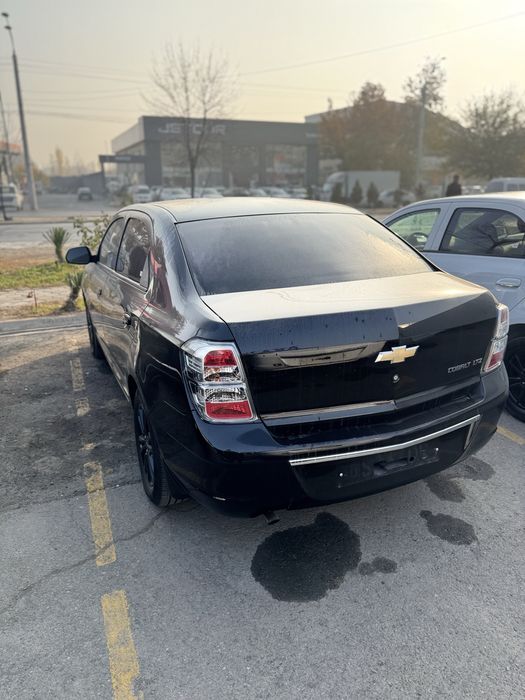 Cobolt midnight qora krasska tozza