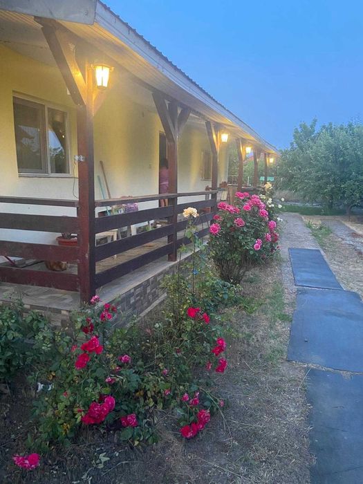 Casa de închiriat Branistea