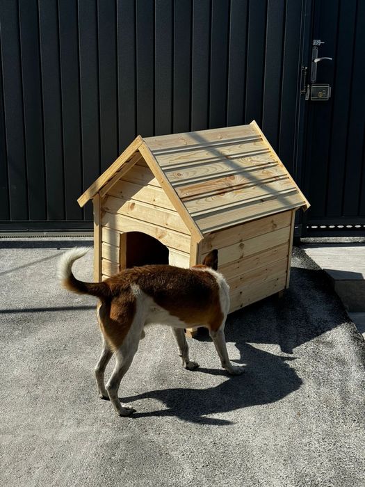 Будка для собаки