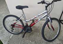 Bicicleta pentru fete.