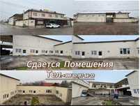RESTORAN аренда сотилади срошно