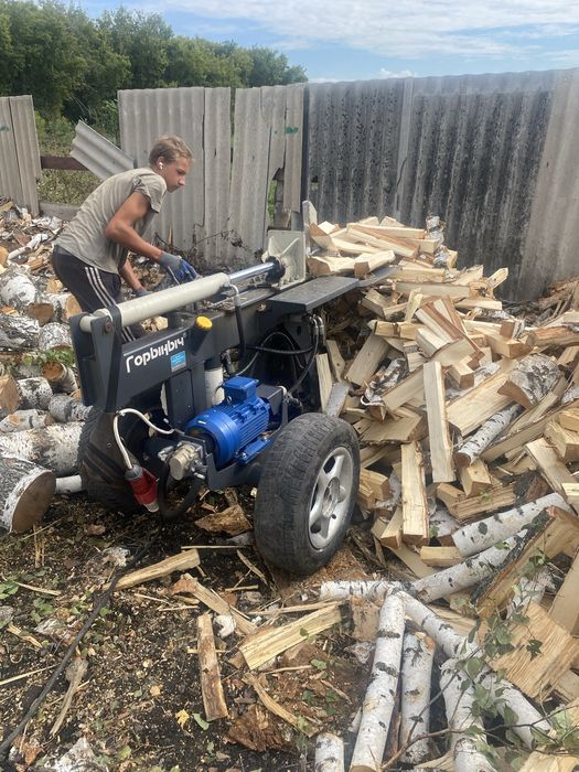 Продам дровакол горыныч электрический