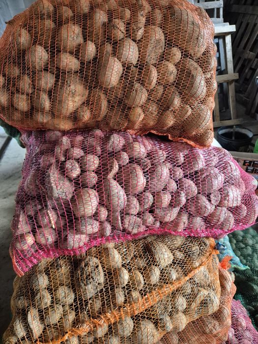 Cartofi pentru animale