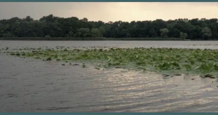 Teren  Snagov (aproape de lac)