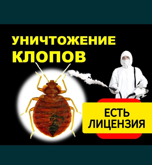 Дезинфекция Семей от клопов