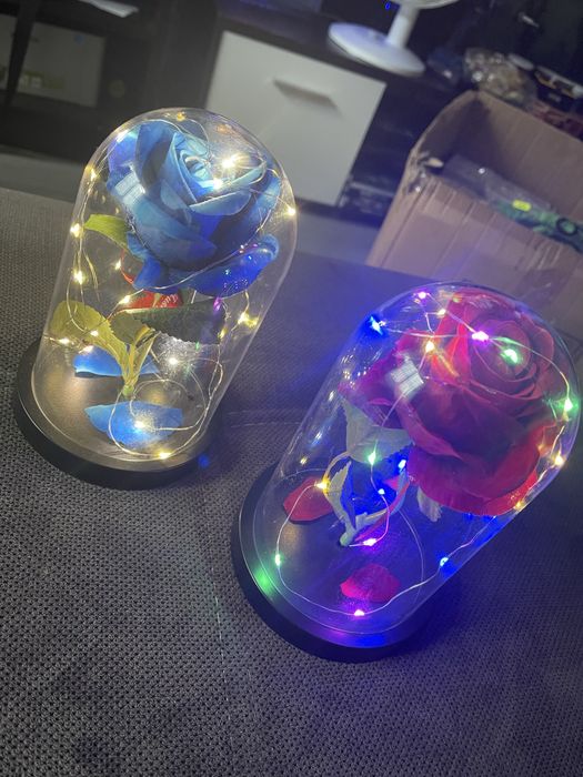 Trandafiri in cupola LED