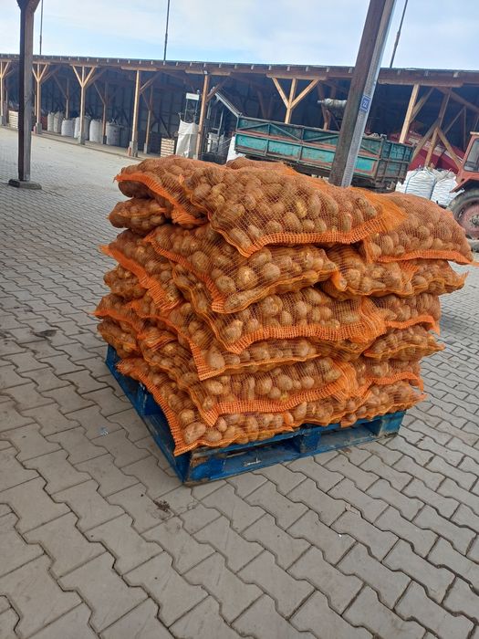 Cartofi de consum si de animale