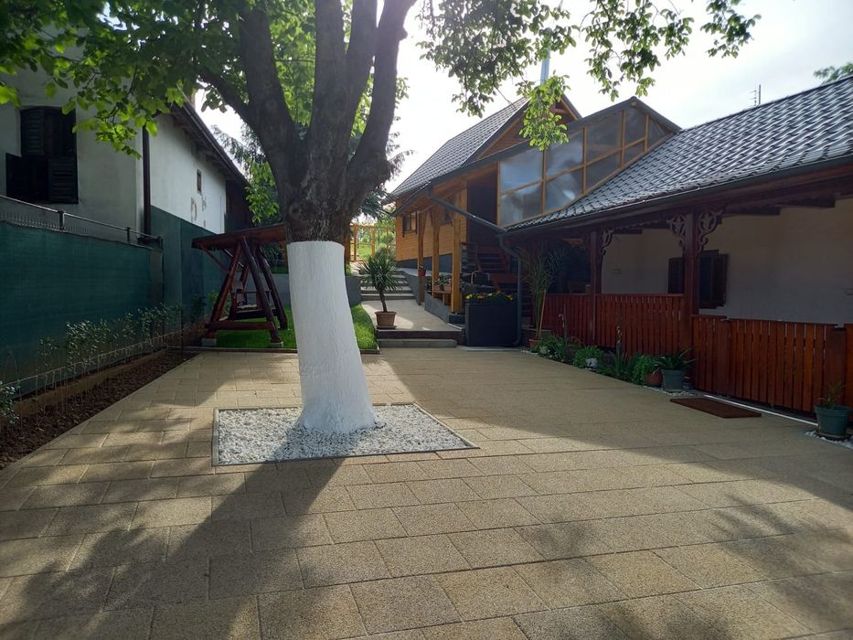 Vînd 2 case Carei Satu-Mare,singur în curte.