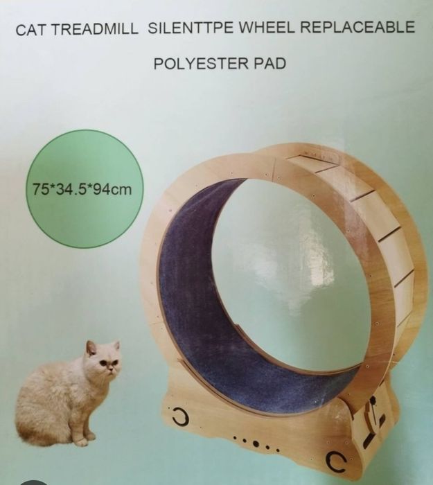 Колело за бягане за котки,Бягаща пътека за котки