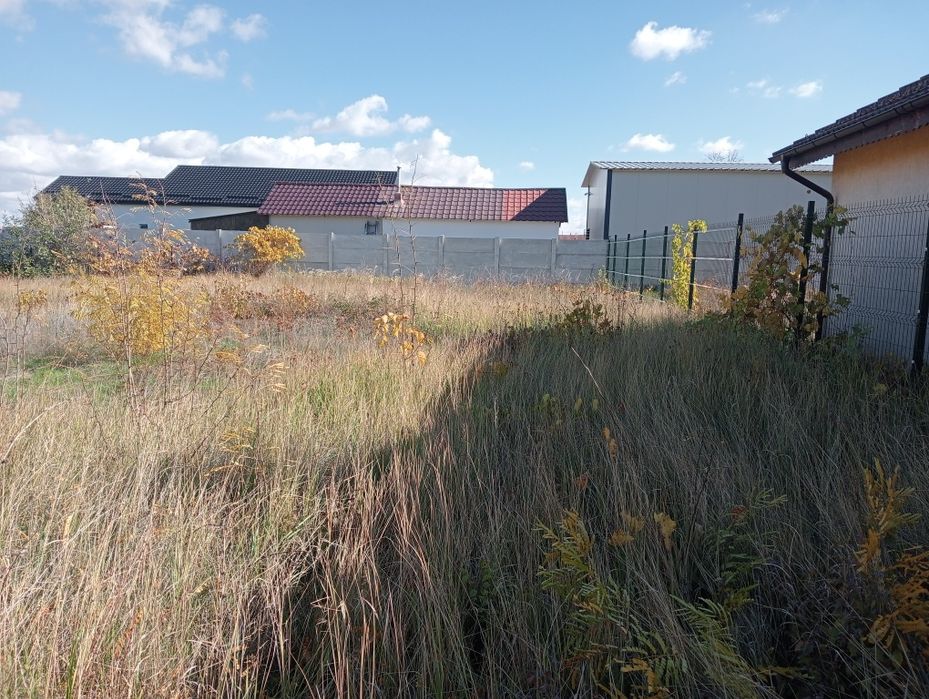 Taiere iarba ,defrisare terenuri