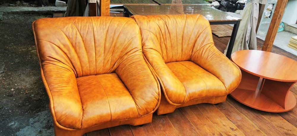 Set doua fotolii piele naturala