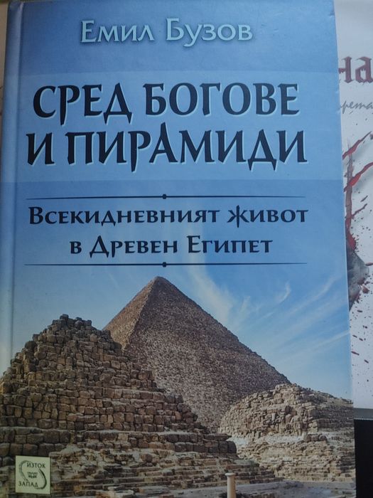 Много запазена книга