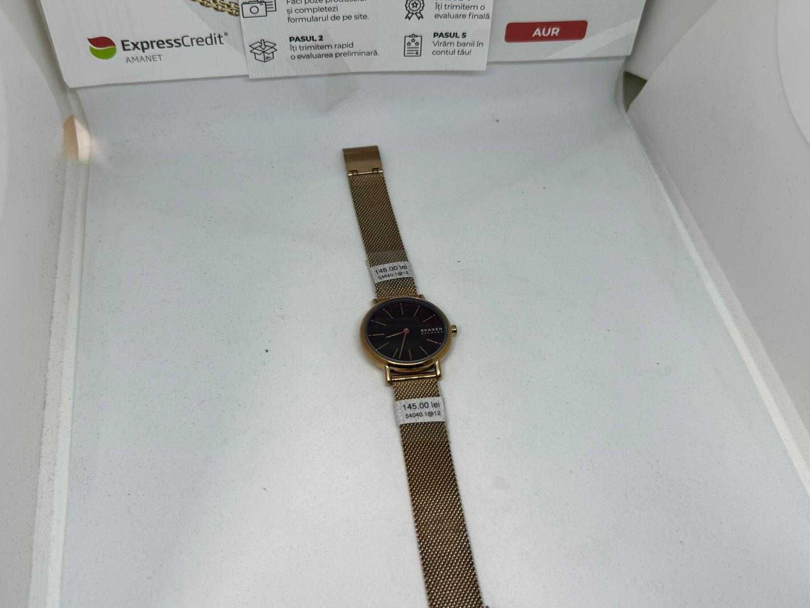 Ceas Skagen Signatur SKW2837 (B.54040/AG12 Tatarasi)