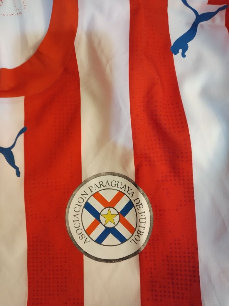 Tricou fotbal nationala Paraguayului

Stare: 9/10. 

Marimea: XL
Marim