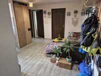Apartament 3 camere