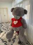 Teddy sotiladi 180 sm kottaligi